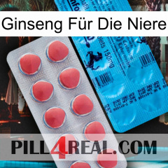 Ginseng Für Die Niere new14
